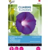 Buzzy Moestuin<Klimmende Winde Knowlians black