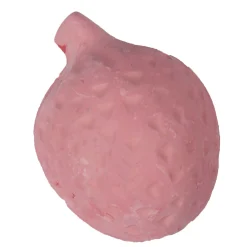 Flamingo Knaagdierverzorging<Knaagsteen Tutti Frutti Aardbei