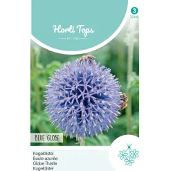 Horti Tops Moestuin<Kogeldistel Blue Globe