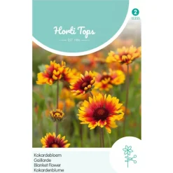 Horti Tops Moestuin<Kokardebloem