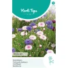 Horti Tops Moestuin<Korenbloem Polka Dot Mix
