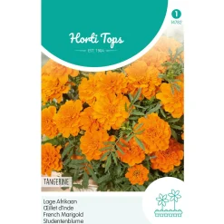 Horti Tops Moestuin<Lage Afrikaan Tangerine