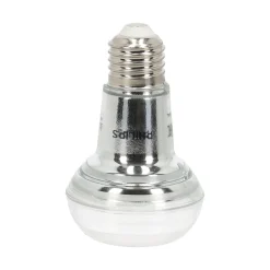 Philips Binnenverlichting<Lamp LED spot 40W E27