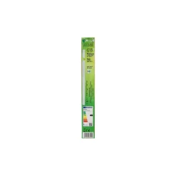 Diamant Binnenverlichting<Lamp T8 LED-C 5.5W