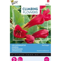 Buzzy Moestuin<Leeuwenmuiltje Red Dragon