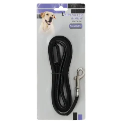 Friendly Pet Hondenriem<Leiband LED blauw 125cm FP