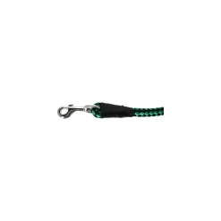 Gebr. de Boon Hondenriem<Looplijn nylon groen 15mm 75cm