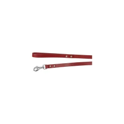 Hondenriem<Looplijn Seattle rood 130cm 20mm