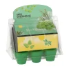 Buzzy Moestuin<Mini Greenhouse kitchen herbs 8