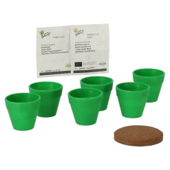 Buzzy Moestuin<Mini Greenhouse kitchen herbs 8