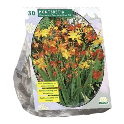 Baltus Bodemverbeteraars<Montbretia per 30