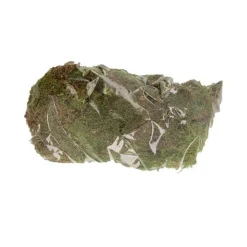 Natural Collections Woondecoratie<Mos naturel groen 100 g