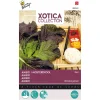 Buzzy Moestuin<Mosterdkool rood