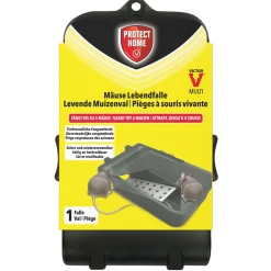 Protect Home Schoonmaken<Muizenval catch+hold Victor