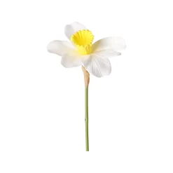 Decoris Kunstplanten En Kunstbloemen<Narcis 39 cm