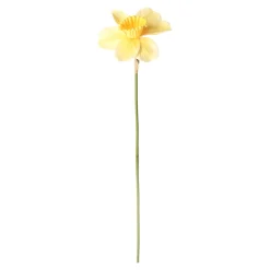Decoris Kunstplanten En Kunstbloemen<Narcis 39 cm