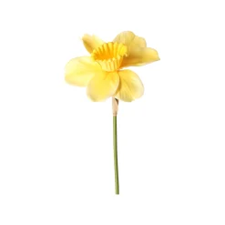 Decoris Kunstplanten En Kunstbloemen<Narcis 39 cm