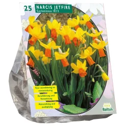 Baltus Bodemverbeteraars<Narcis Mini Jetfire geel oranje per 25