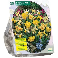 Baltus Bodemverbeteraars<Narcis Mini mix per 25