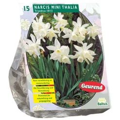Baltus Bodemverbeteraars<Narcis Mini Thalia per 15