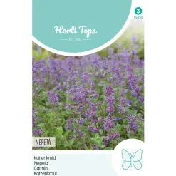Horti Tops Moestuin<Nepeta kattenkruid