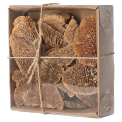 Natural Collections Woondecoratie<Paddenstoel deco naturel 120g