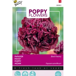 Buzzy Moestuin<Papaver Black Paeony