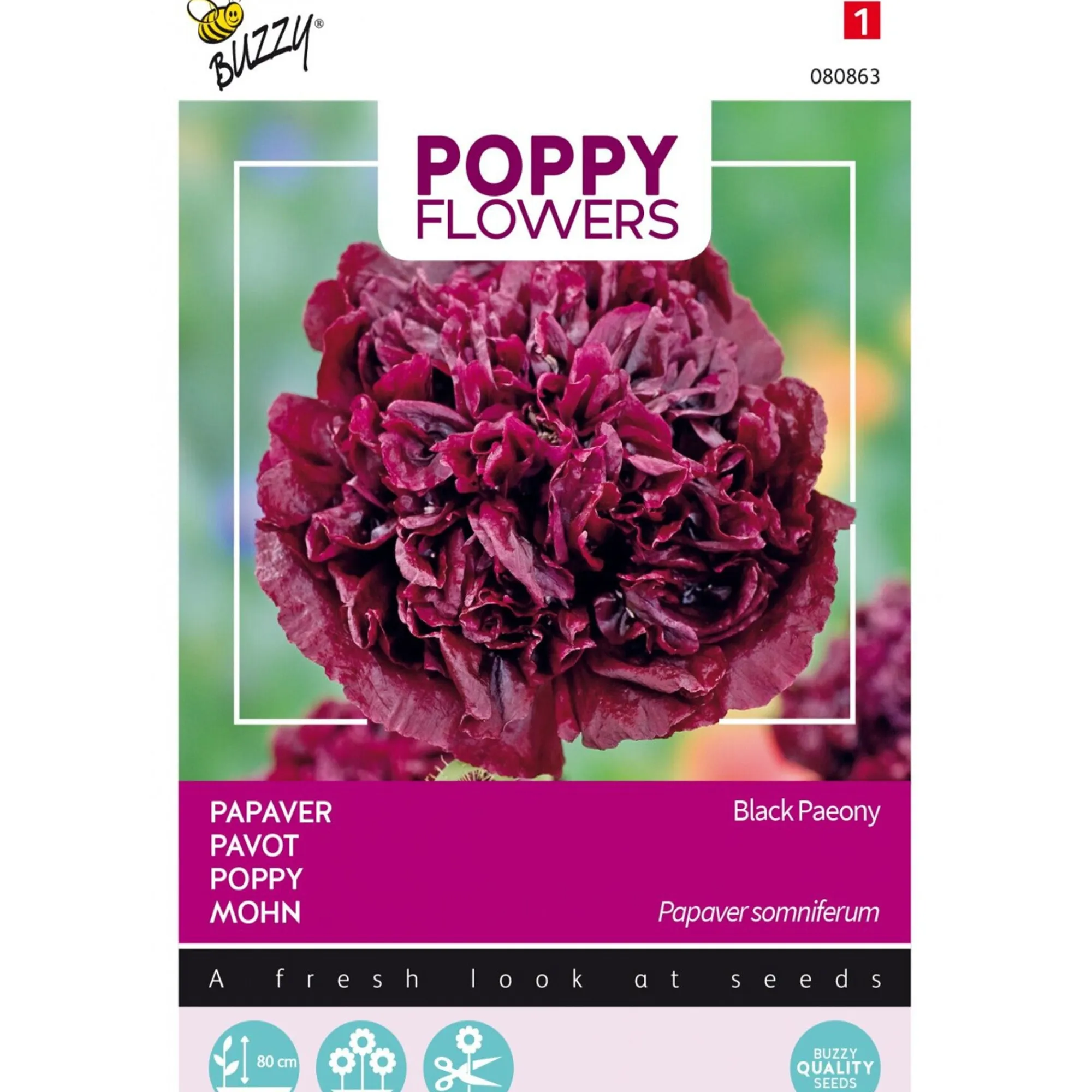 Buzzy Moestuin<Papaver Black Paeony