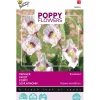 Buzzy Moestuin<Papaver Blauwmaanzaad