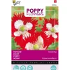 Buzzy Moestuin<Papaver Deense vlag