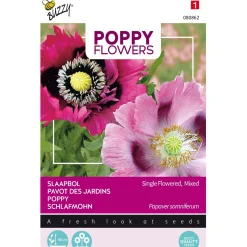 Buzzy Moestuin<Papaver Enkelbloemig mix