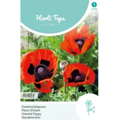 Horti Tops Moestuin<Papaver Orientale Oosterse klaproos rood