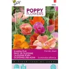 Buzzy Moestuin<Papaver Thai Silk