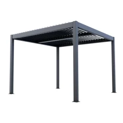 Bois le Duc Overkapping Tuin<Pergola Cristo 3x3M