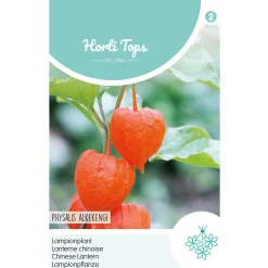 Horti Tops Moestuin<Physalis lampionplant