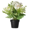 Everlands Kunstplanten En Kunstbloemen<Plant in pot 24 cm diverse assorti