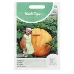Horti Tops Moestuin<Pompoen Atlantic Giant zaad