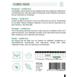 Horti Tops Moestuin<Pompoenen Uchiki Kuri zaad
