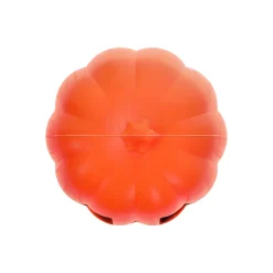 Van Cranenbroek Woondecoratie<Pompoen plastic 20x25cm