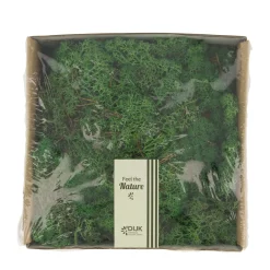 Natural Collections Woondecoratie<Rendiermos mosgreen 250g