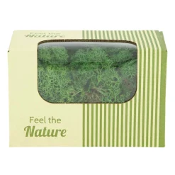 Natural Collections Woondecoratie<Rendiermos mosgroen 50g