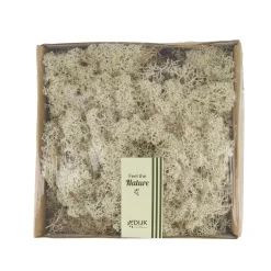 Natural Collections Woondecoratie<Rendiermos naturel 250g