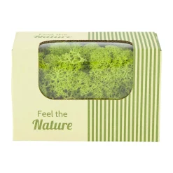 Natural Collections Woondecoratie<Rendiermos springgreen 50g