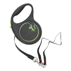 Flexi Hondenriem<Rollijn black dsgn tape M 5M groen