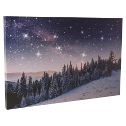 Van Cranenbroek Kerstdecoratie<Schilderij Vallende Ster A 60x40 cm