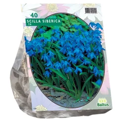 Baltus Bodemverbeteraars<Scilla Siberica per 40