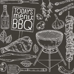 Duni Koken & Tafelen<Servet 33 x 33 cm BBQ today 20st