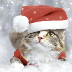 Duni Kerstdecoratie<Servet 33 x 33 cm Kitten Christmas