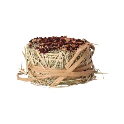 Smulti Knaagdieren Snacks<Snack hooirol appel/rode biet 75gr