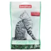 Beaphar Kattensnoepjes<Snack kat Catnip Bits 150gr